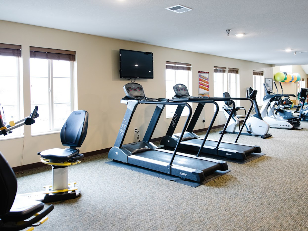 Spacious gym with treadmills, exercise bikes, and vibrant fitness balls. Bright natural light from large windows.